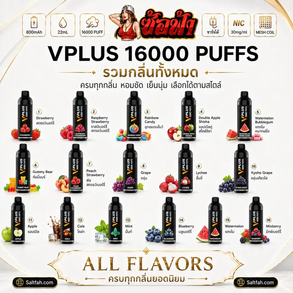 VPLUS 16000 Puffs Saltfah