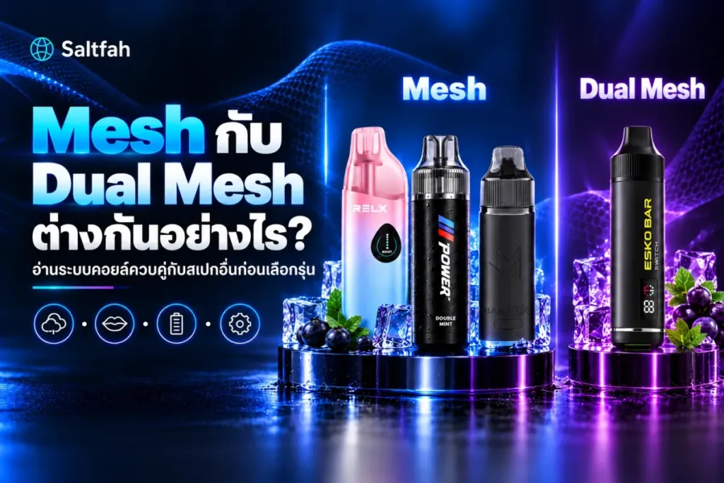 หน้าปกบทความเปรียบเทียบ Mesh กับ Dual Mesh ในพอตใช้แล้วทิ้ง